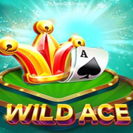 WildAce: The Exciting World of Online Card Gaming